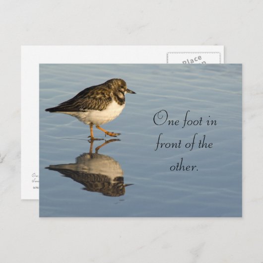 かわいいサディパーの鳥やる気を起こさせるはがき ポストカード (正面/裏面)