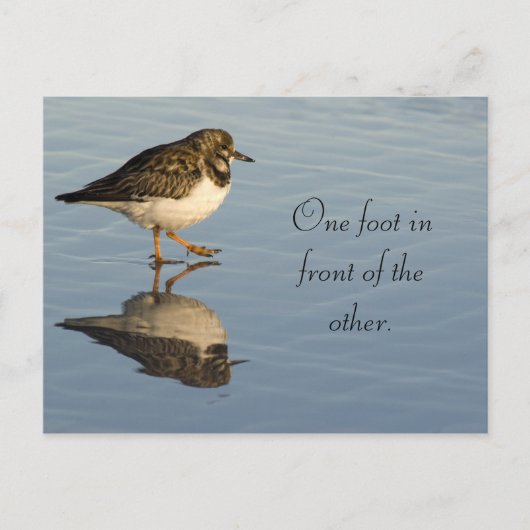 かわいいサディパーの鳥やる気を起こさせるはがき ポストカード (正面)