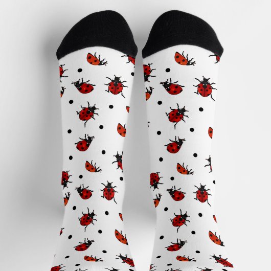 かわいいサビトフシデミと水玉模様のハート形バッジ ソックス (上部)