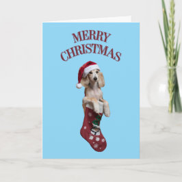 かわいいサルーキ犬のクリスマス カード