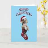 かわいいサルーキ犬のクリスマス カード (黄色い花)