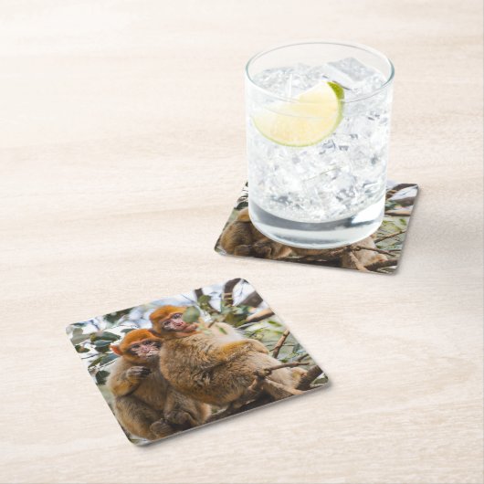 かわいいサル二匹 スクエアペーパーコースター (インサイチュ)