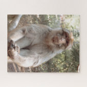 かわいいサル ジグソーパズル (横)