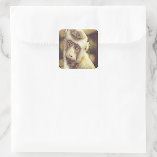 かわいいサル スクエアシール (バッグ)