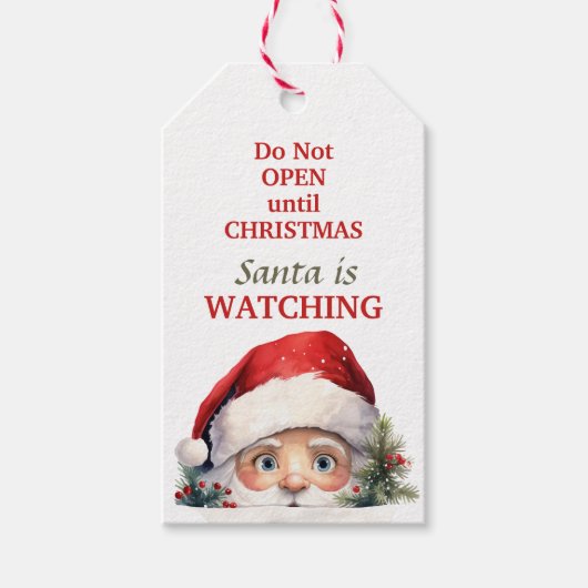 かわいいサンタがクリスマスを見ている ギフトタグ (正面)