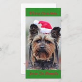 かわいいサンタ帽のヨーキーフラット シーズンカード (正面/裏面)