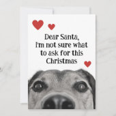 かわいいサンタ犬 クリスマス 緑 面白い (正面)