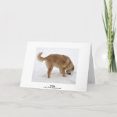 かわいいサンタ&トナカイの捜索救助犬 シーズンカード (裏面)