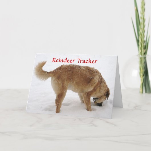 かわいいサンタ&トナカイの捜索救助犬 シーズンカード (正面)