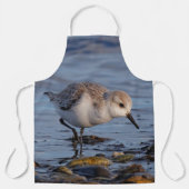 かわいいサンダーリングサンドパイパーストロールズウントリービーチ エプロン (正面)