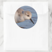 かわいいサンダーリングサンドパイパーストロールズウントリービーチ ラウンドシール (バッグ)