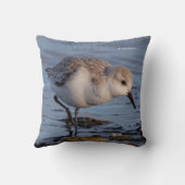 かわいいサンダーリングサンドパイパーズローリングウィンタービーチ クッション (裏面)