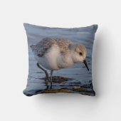 かわいいサンダーリングサンドパイパーズローリングウィンタービーチ クッション (正面)
