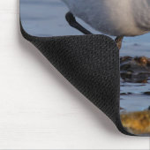 かわいいサンダーリングサンドパイパー冬の散歩ビーチ マウスパッド (コーナー)