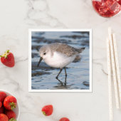 かわいいサンドパイパーが冬の海岸を徘徊 スタンダードカクテルナプキン (インサイチュ)