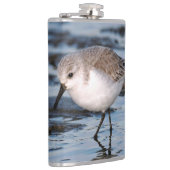 かわいいサンドパイパーが冬の海岸を徘徊 フラスク (右)