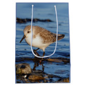 かわいいサンドパイパーが冬の海岸を徘徊 ミディアムペーパーバッグ (裏面)