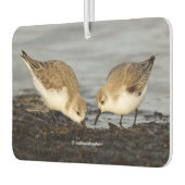 かわいいサンドリングサンピパーズ共有お食事 カーエアーフレッシュナー (左)