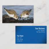 かわいいサンドリングサンピパーズ共有お食事 名刺 (正面/裏面)