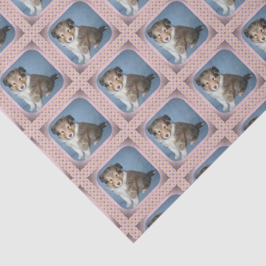 かわいいシェットランド・シープドッグの子犬のティッシュペーパーの覆い 薄葉紙 (詳細)