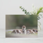 かわいいシック自然フォトカード (スタンド正面)