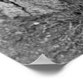 かわいいシック， 1937 ポスター (角)