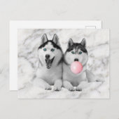 かわいいシベリアのハスキー犬吹のバブルガム ポストカード (正面/裏面)