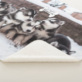 かわいいシベリアンハスキーの小犬の総括的な一流の骨 シェルパブランケット (3/4)