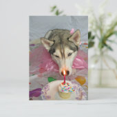 かわいいシベリアンハスキーの誕生日招待状 招待状 (スタンド正面)