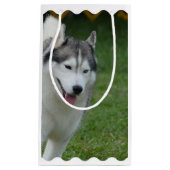 かわいいシベリアンハスキー スモールペーパーバッグ (正面)