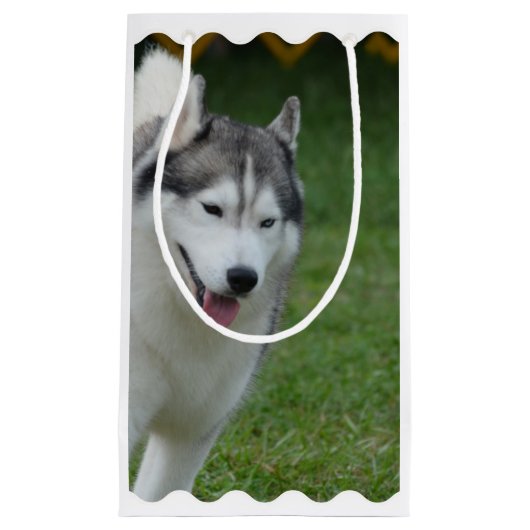 かわいいシベリアンハスキー スモールペーパーバッグ (正面)