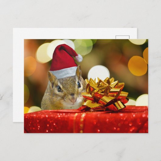 かわいいシマリスのメリークリスマス シーズンポストカード (正面/裏面)