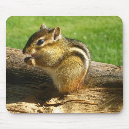 かわいいシマリス マウスパッド (正面)
