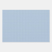 かわいいシャビーフランスのシックフローラアートパターン ラッピングペーパーシート (正面2)