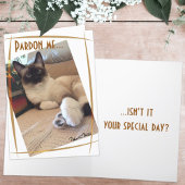 かわいいシャムネコの子猫のクローズアップ写真 オーダーメイド カード