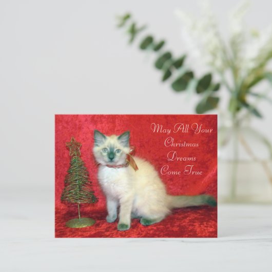 かわいいシャム子猫クリスマスツリー シーズンポストカード (スタンド正面)