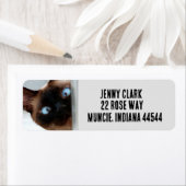 かわいいシャム猫のぞき差出人住所ラベル ラベル (インサイチュ)