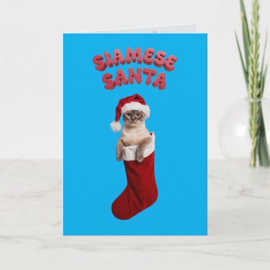 かわいいシャム猫のクリスマス カード (正面)