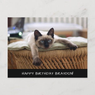 かわいいシャム猫誕生日葉書 ポストカード