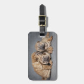 かわいいシャールペイパピーズ ラゲッジタグ (正面縦)