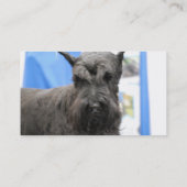 かわいいシュナウツァーの名刺 名刺 (裏面)