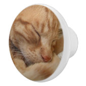 かわいいショウガオレンジ猫のドレッサーのノブ セラミックノブ (右)