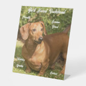 かわいいショートヘア赤いダックシュントぺスタール徴候 台座サイン (正面)