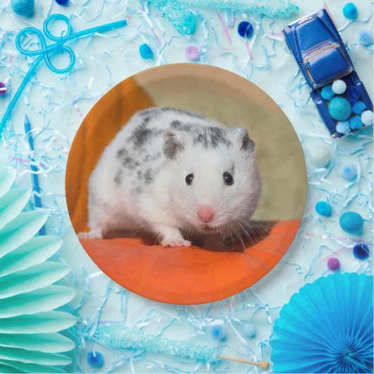 かわいいシリアのハムスターの白い黒によって斑点を付けられるおもしろいなペット ペーパープレート (パーティー)