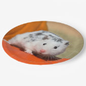 かわいいシリアのハムスターの白い黒によって斑点を付けられるおもしろいなペット ペーパープレート (アングル)