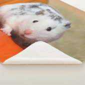 かわいいシリアのハムスターの白く黒いSpotsFunnyペット シェルパブランケット (3/4)