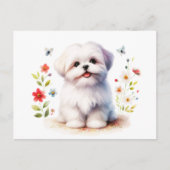 かわいいシーズー子犬フラワー ポストカード (正面)