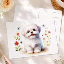 かわいいシーズー子犬フラワー