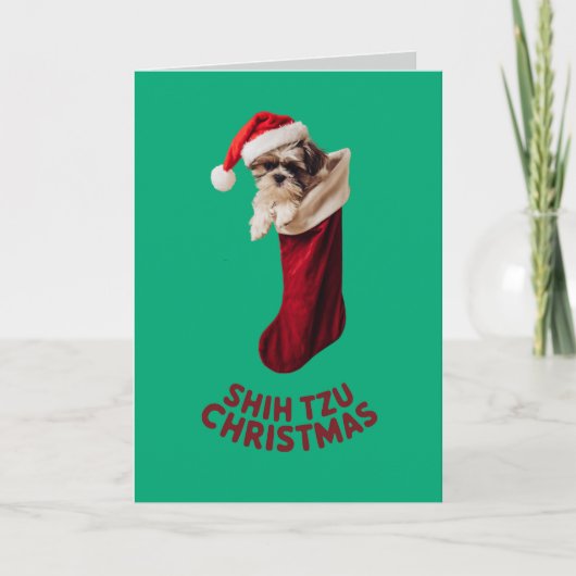 かわいいシーズー犬のクリスマス カード (正面)