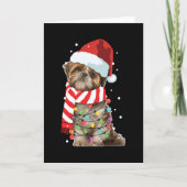 かわいいシーズー犬好き面白いクリスマスホリデーギフト カード (正面)